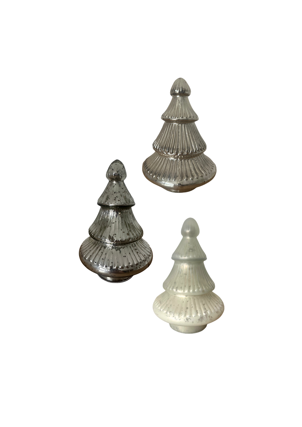 Glas Tanne 'Sitia' Klein Silber