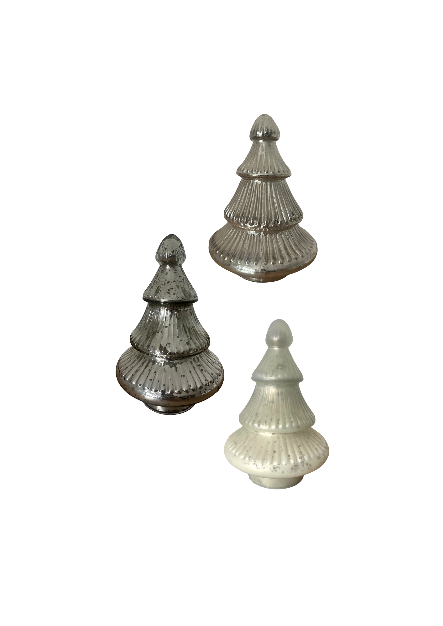 Glas Tanne 'Sitia' Klein Silber