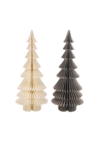 Papier Tanne 'Dacia'