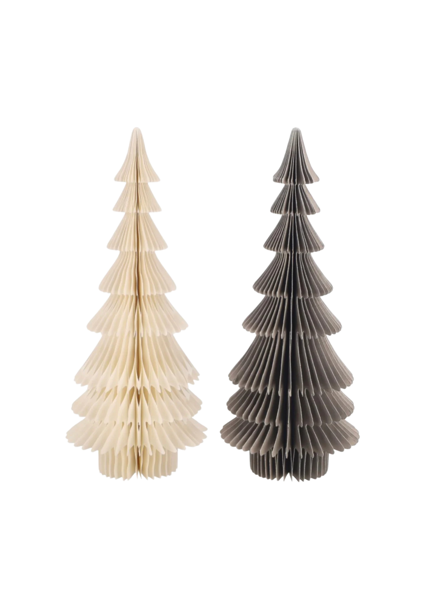 Papier Tanne 'Dacia'