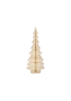 Papier Tanne 'Dacia'