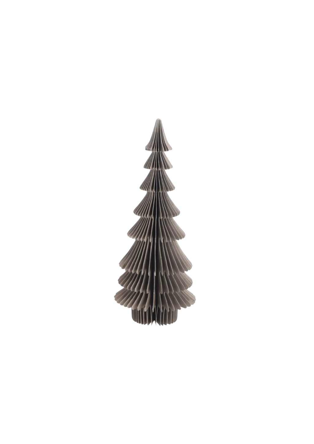 Papier Tanne 'Dacia'