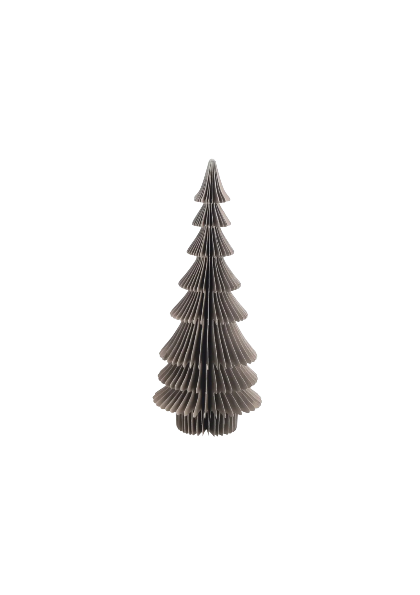 Papier Tanne 'Dacia'