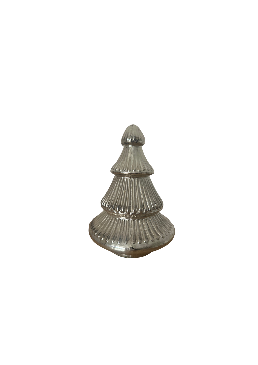 Glas Tanne 'Sitia' Klein Silber