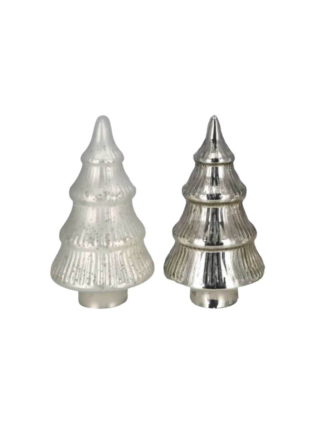 Glas Tanne 'Sitia' Groß Silber