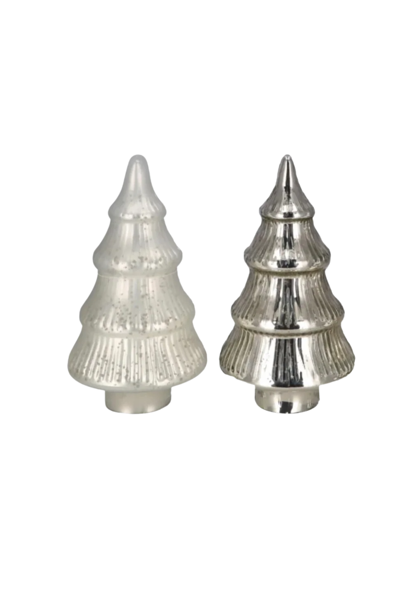 Glas Tanne 'Sitia' Groß Silber