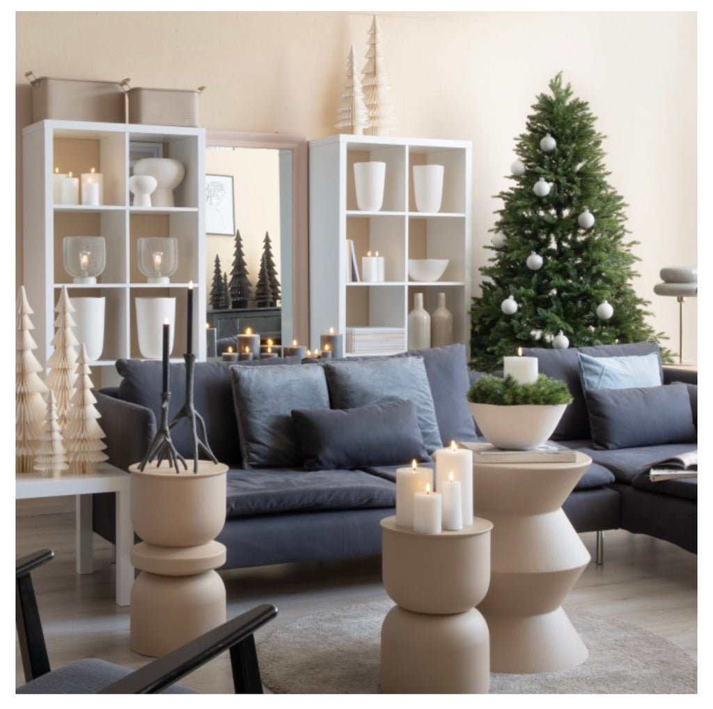 Papier Tanne 'Dacia'