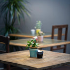 Espressotasse 'Grespresso'